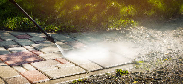 Best Solar Panel Cleaning  in Fruitville, FL